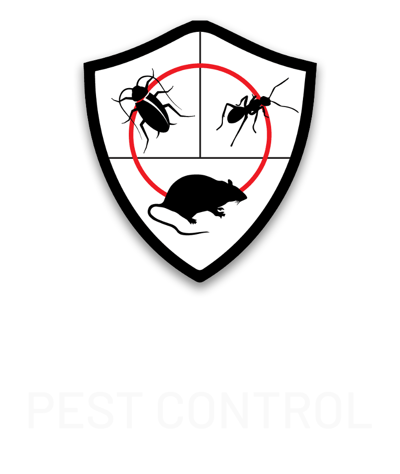 Pest Control Solutions Colchester | Pest Control Colchester